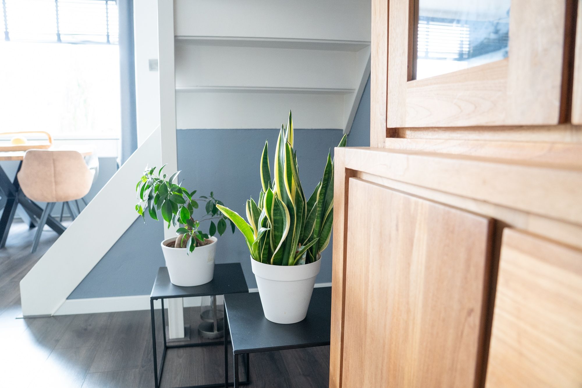 Foto 9 van Mossel 34