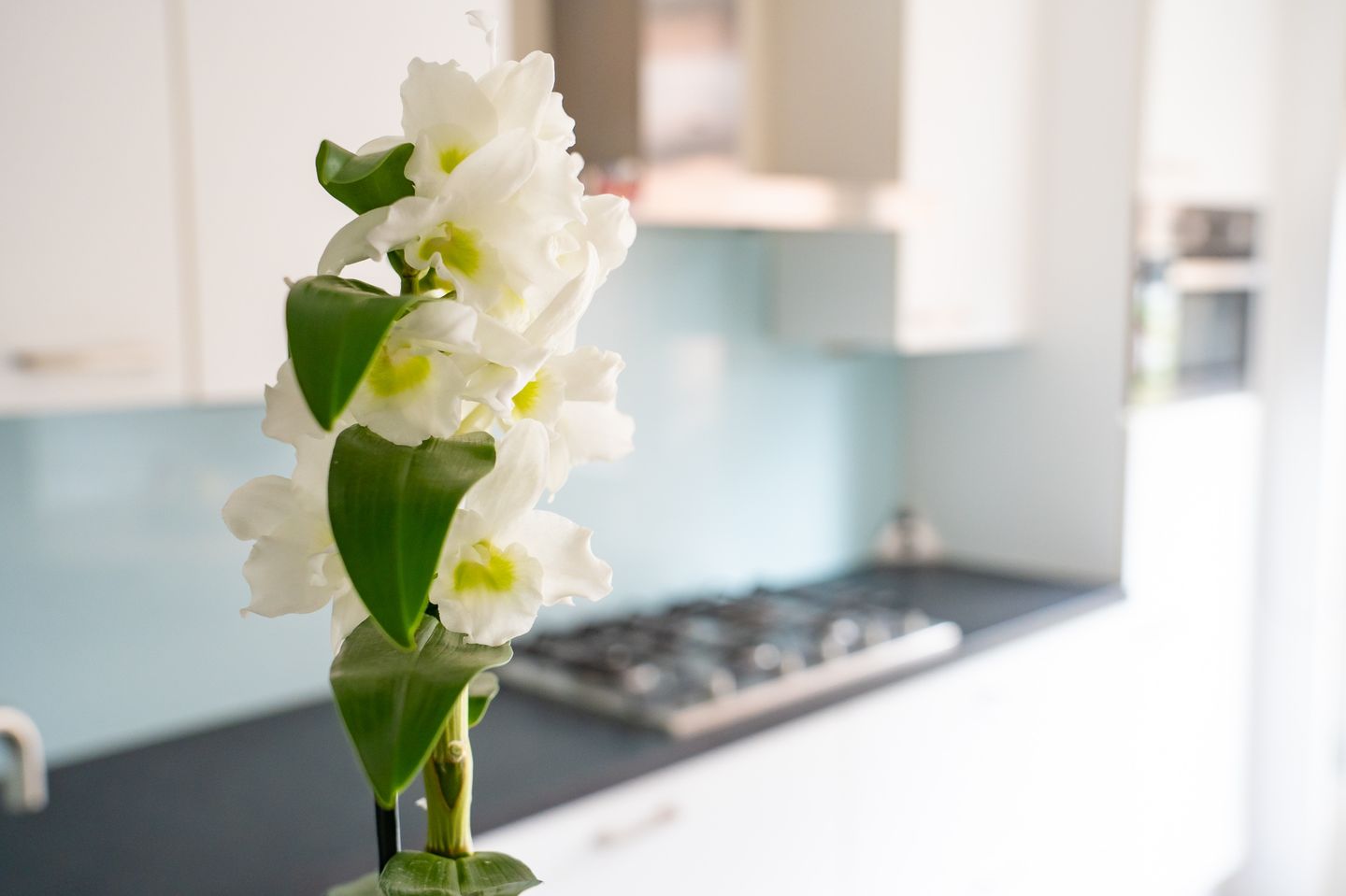 Foto 19 van Mossel 34