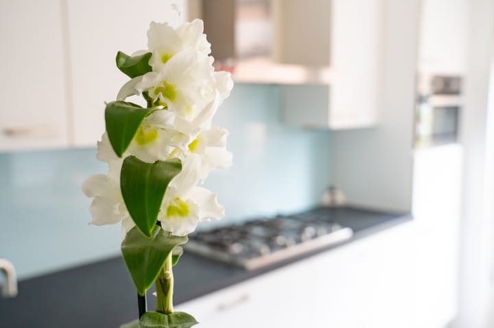 Foto 19 van Mossel 34