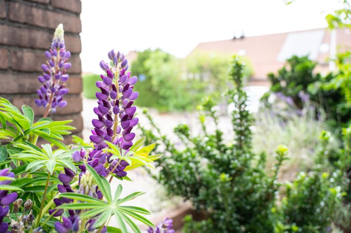 Foto 52 van Mossel 34