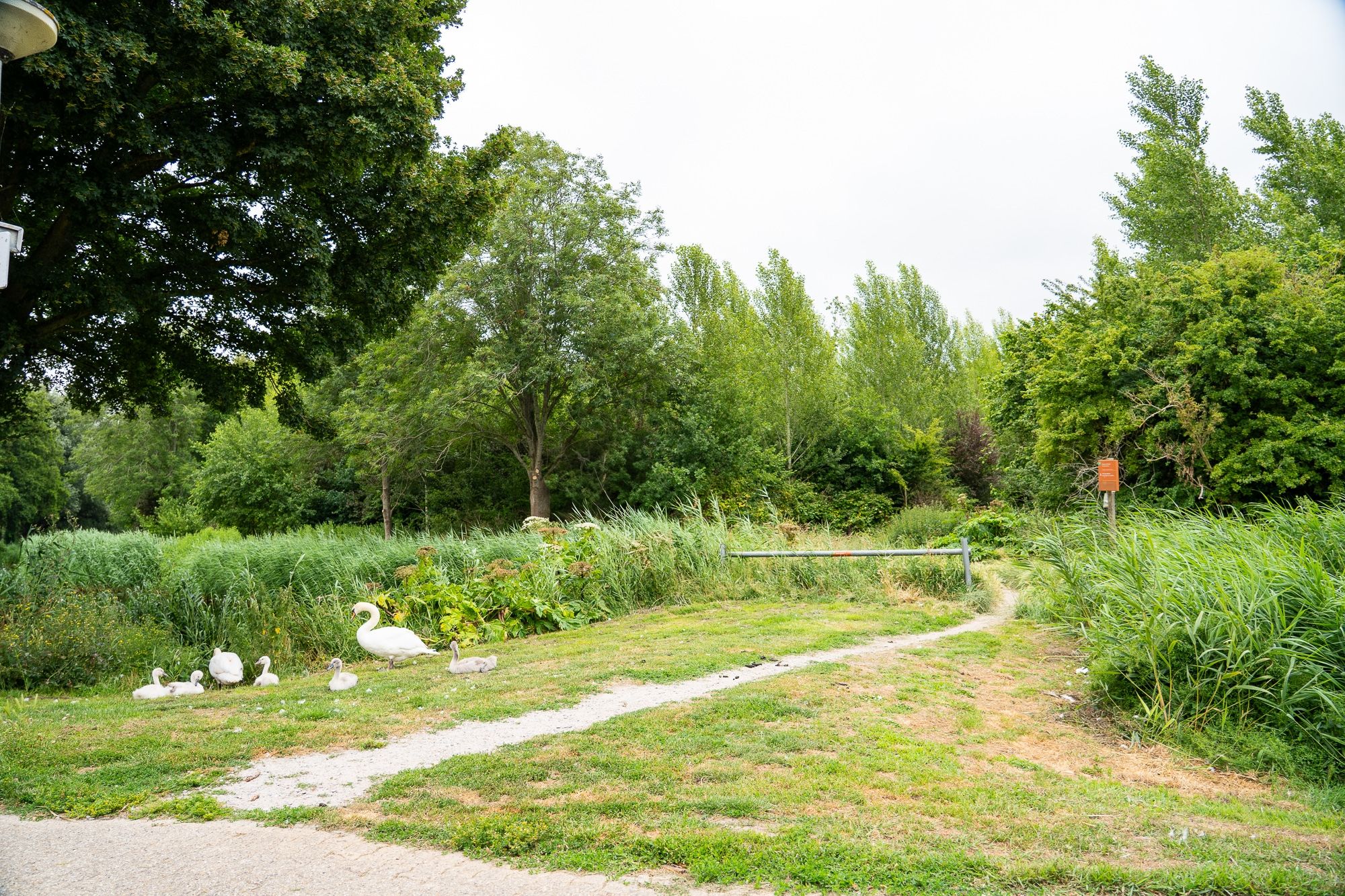 Foto 63 van Mossel 34