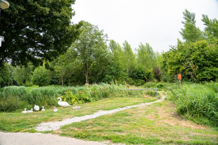 Foto 63 van Mossel 34