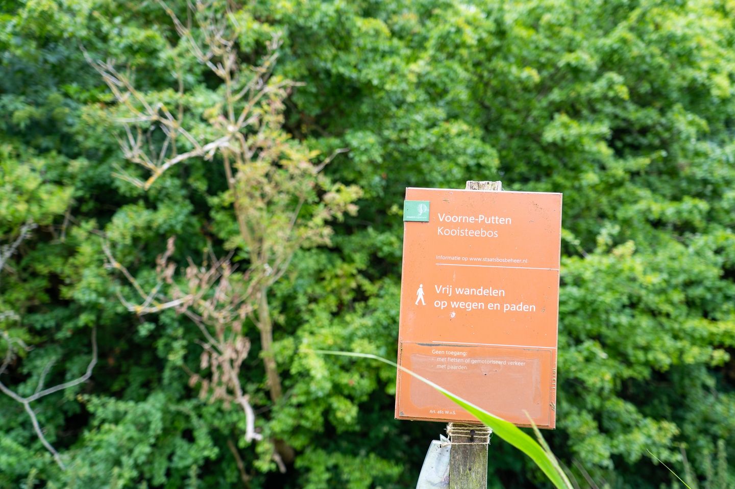 Foto 64 van Mossel 34