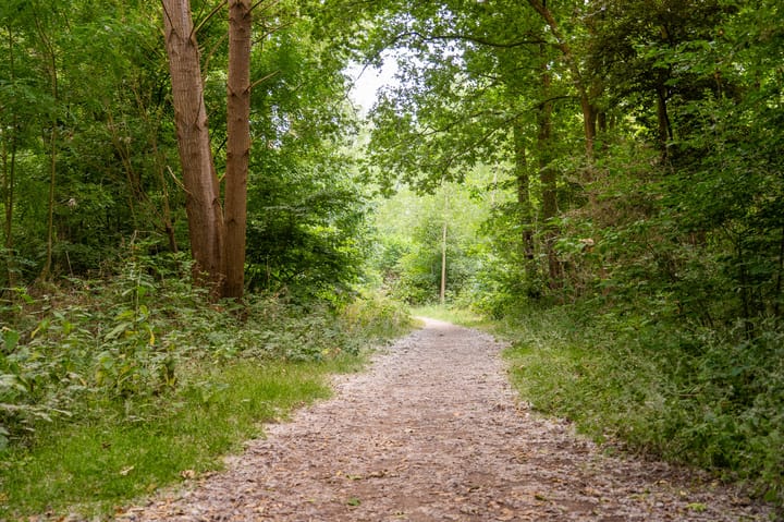 Foto 65 van Mossel 34