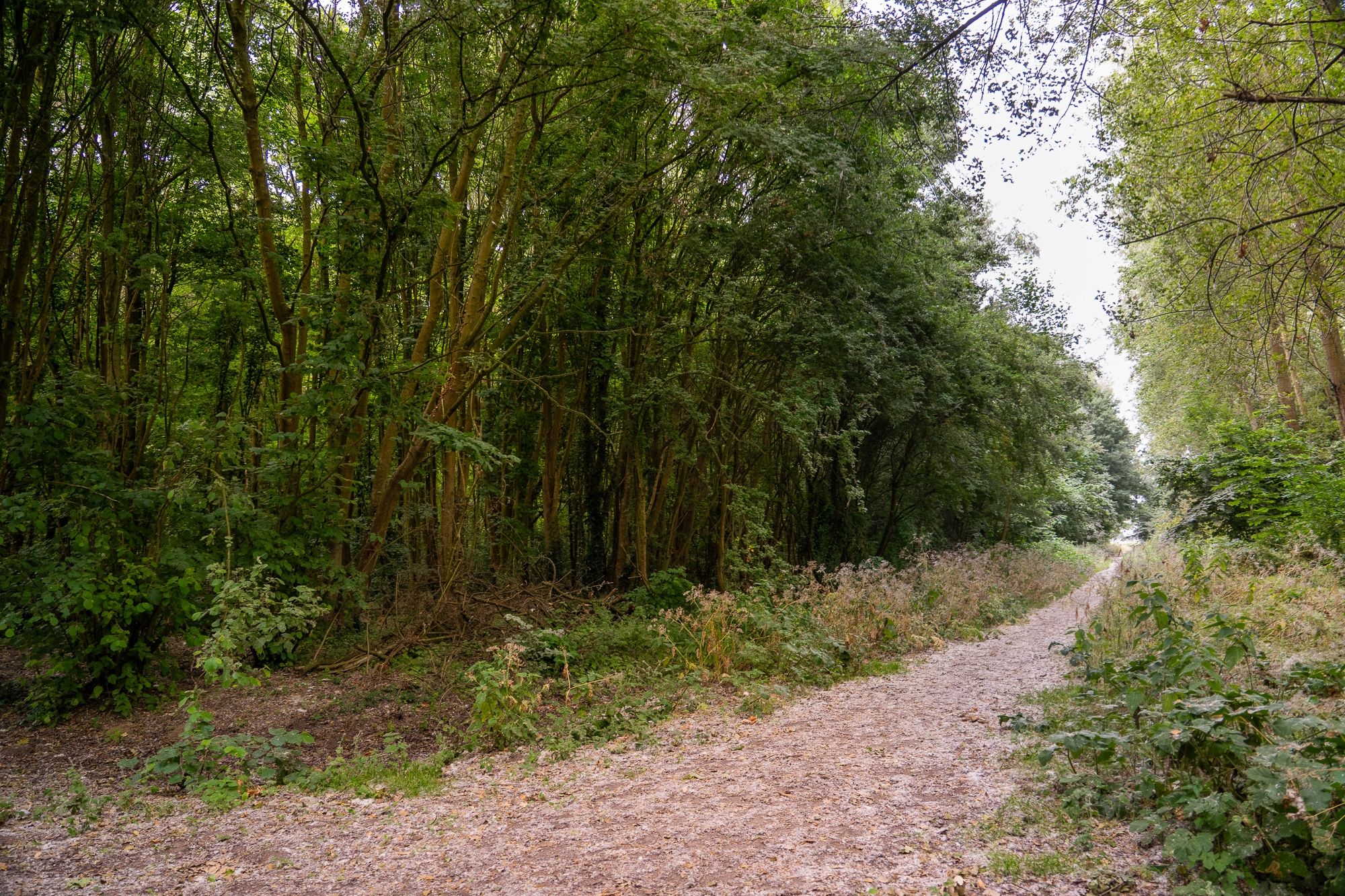 Foto 66 van Mossel 34