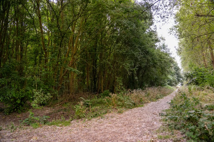 Foto 66 van Mossel 34