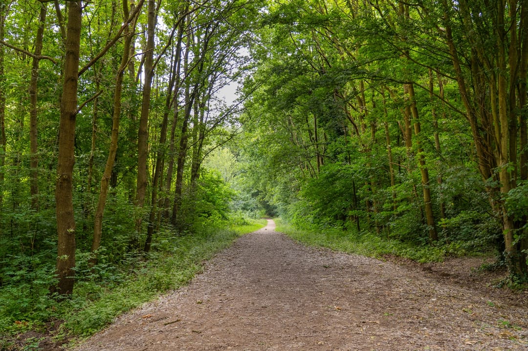 Foto 67 van Mossel 34