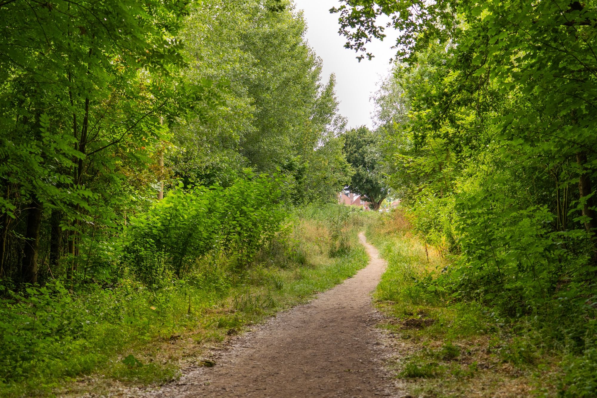 Foto 69 van Mossel 34