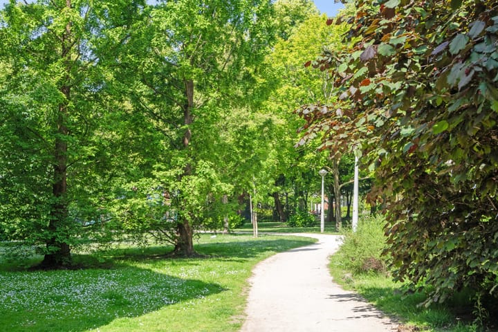 Foto 28 van Sara Burgerhartstraat 46-2