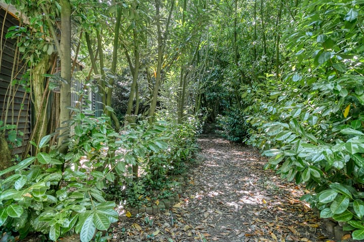 Photo 10 of Hoogoordstraat 9