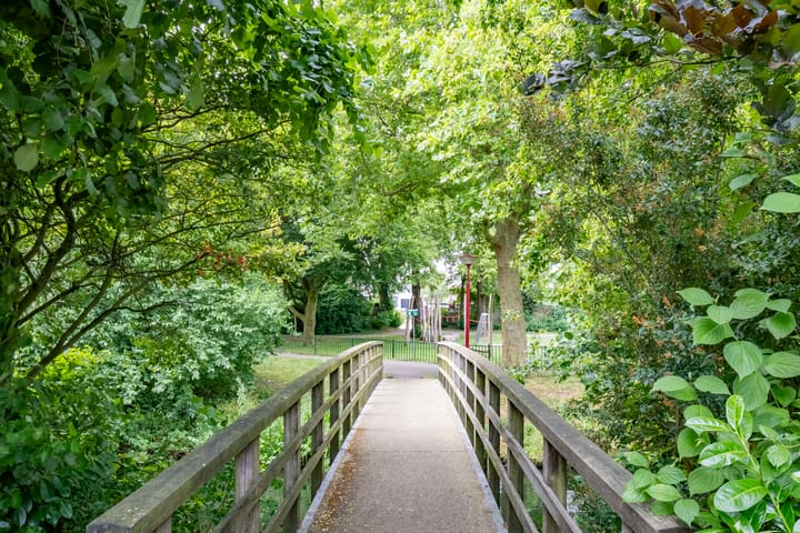 Foto 56 van Graaf Albertsingel 23