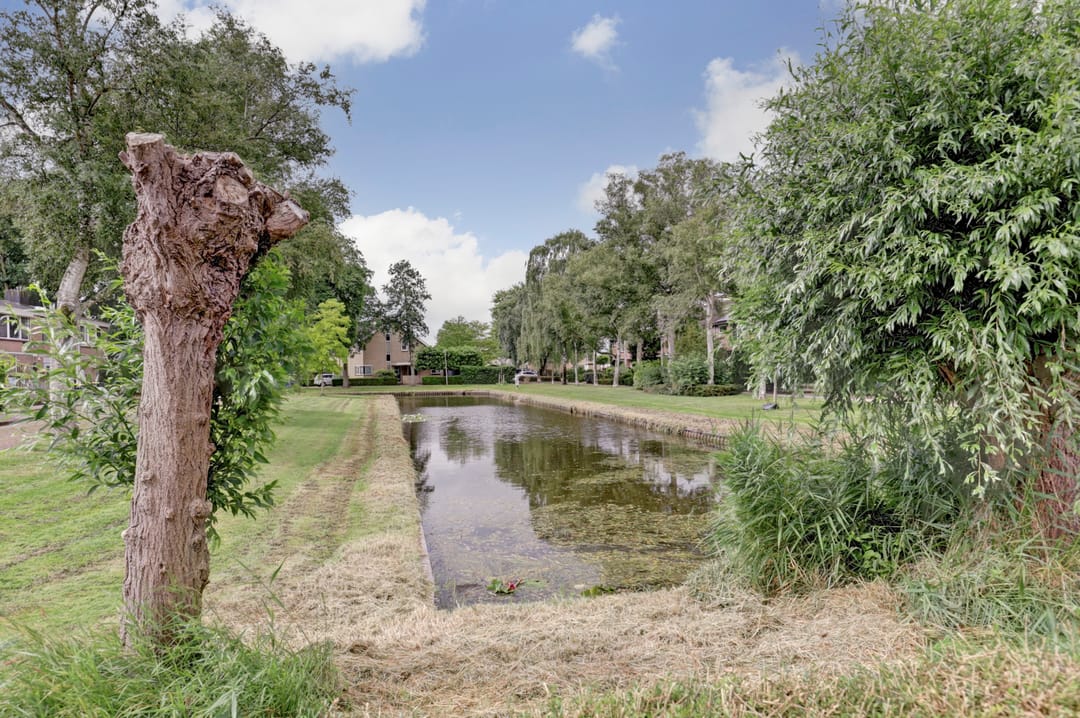 Foto 37 van Kolgansstraat 8