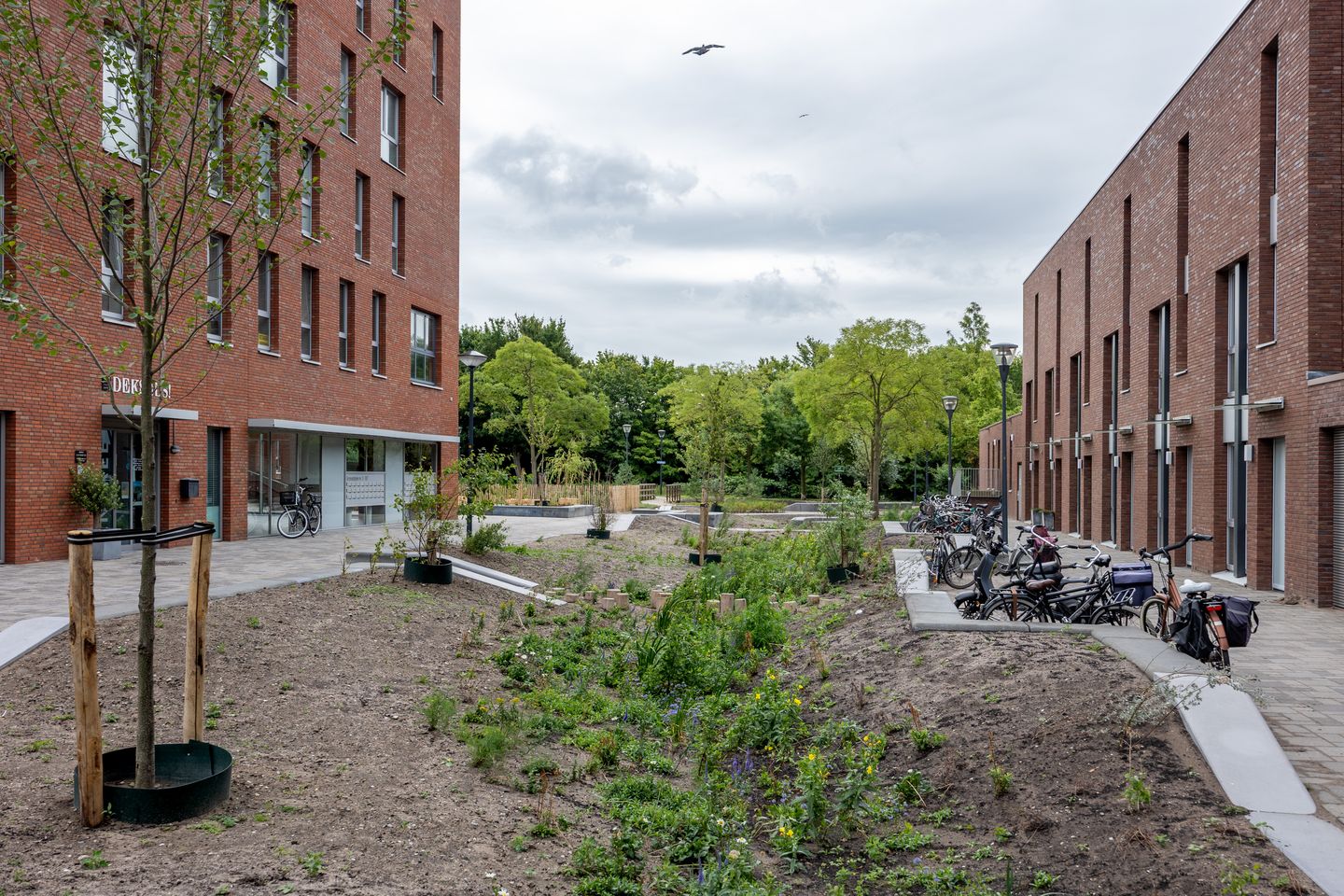 Foto 25 van Opaalstraat 150