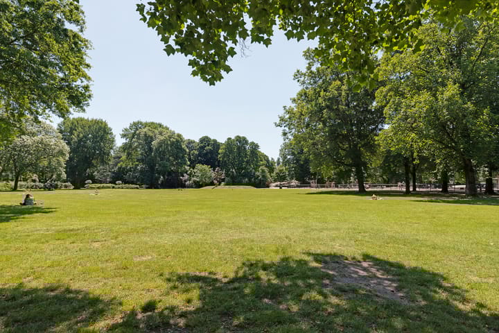 Foto 36 van Edisonstraat 126