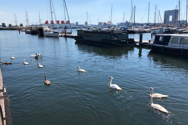 Foto 43 van Marsstraat 18