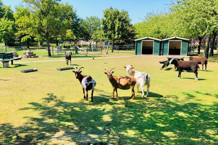 Foto 40 van Marsstraat 18