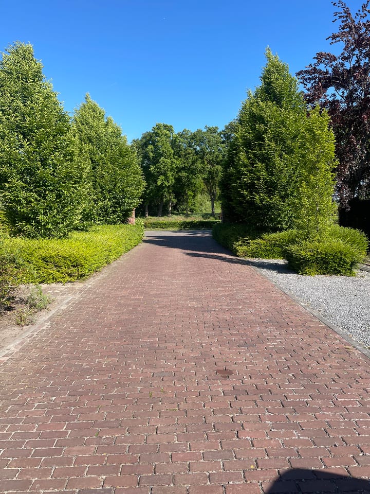 Photo 9 of Bredasebaan 66