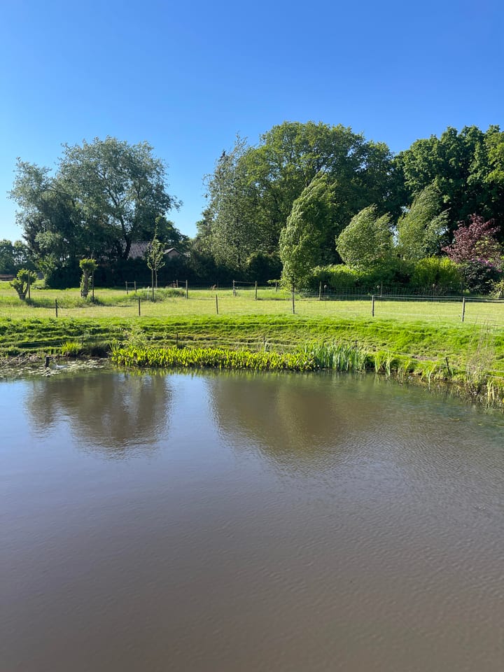 Photo 29 of Bredasebaan 66