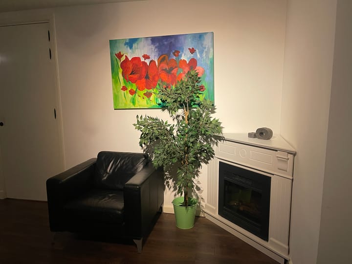 Photo 60 of Bredasebaan 66