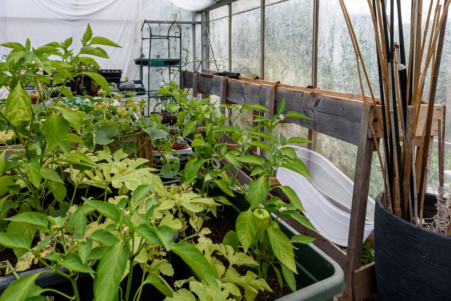 Foto 59 van Jules Vernestraat 19