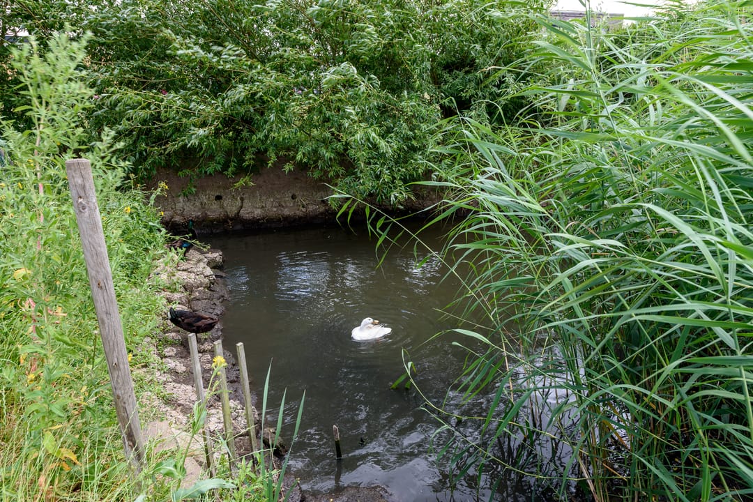 Foto 62 van Jules Vernestraat 19