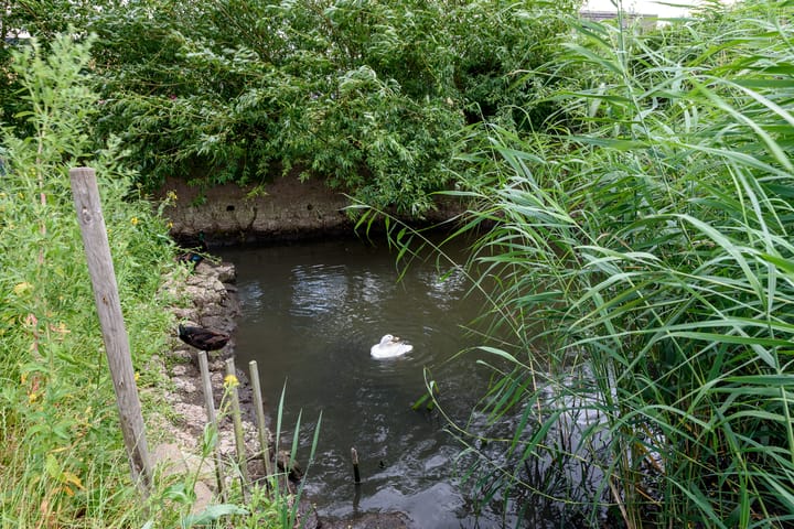 Foto 62 van Jules Vernestraat 19