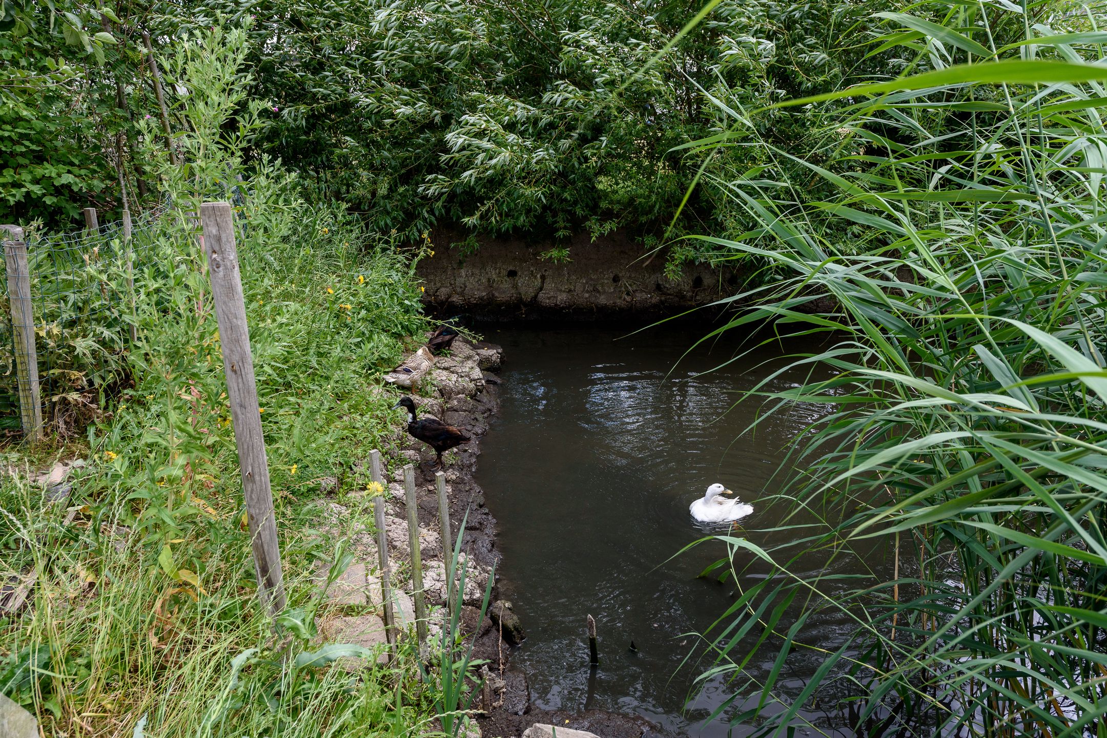 Foto 63 van Jules Vernestraat 19