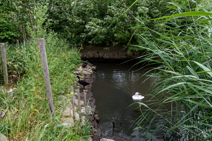 Foto 63 van Jules Vernestraat 19