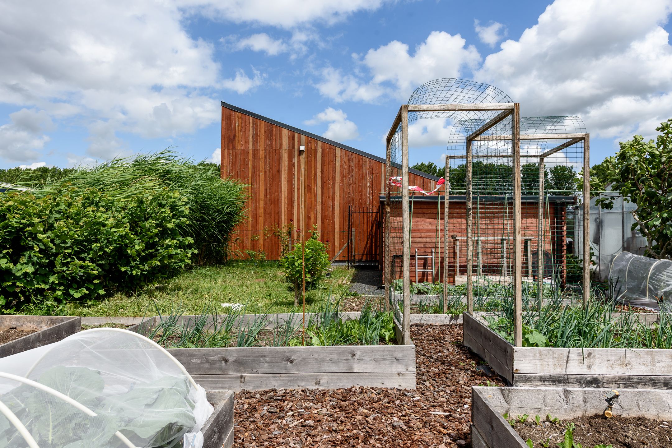 Foto 66 van Jules Vernestraat 19