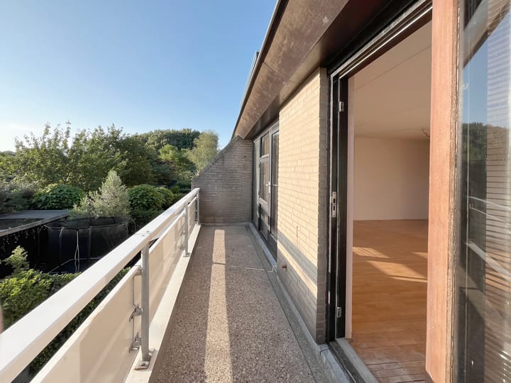 Foto 39 van Mosroos 10