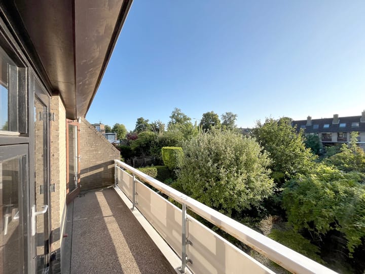 Foto 40 van Mosroos 10