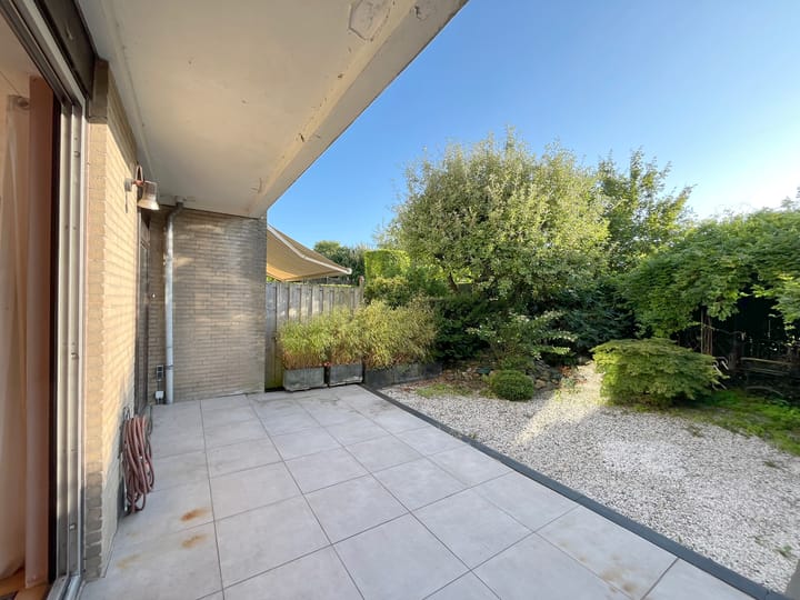 Foto 45 van Mosroos 10