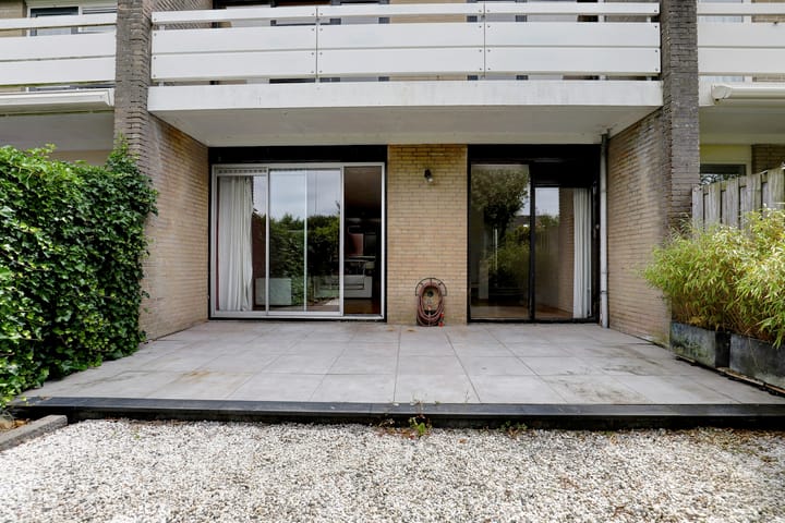 Foto 49 van Mosroos 10