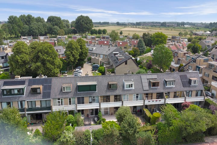 Foto 53 van Mosroos 10