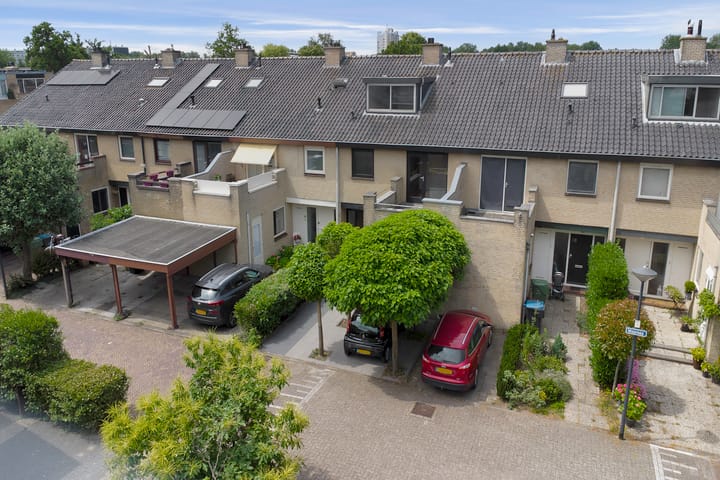 Foto 55 van Mosroos 10