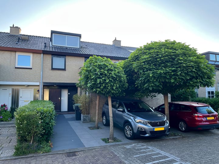 Foto 57 van Mosroos 10