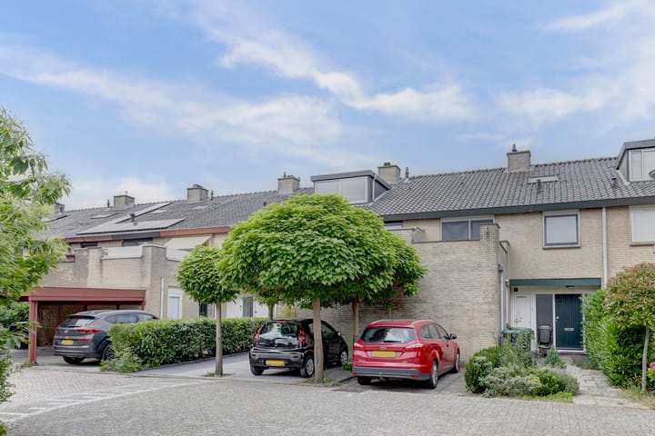 Foto 58 van Mosroos 10