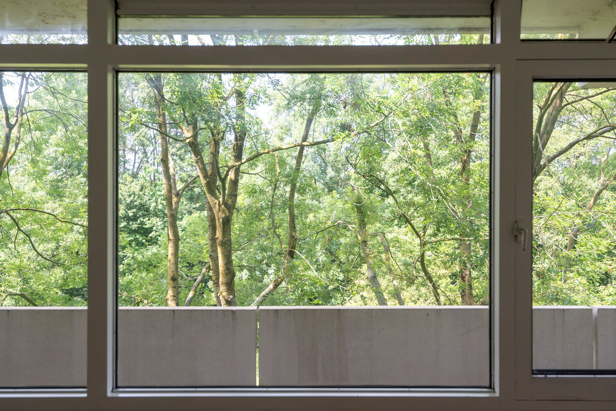 Foto 24 van Pinksterbloemweg 151