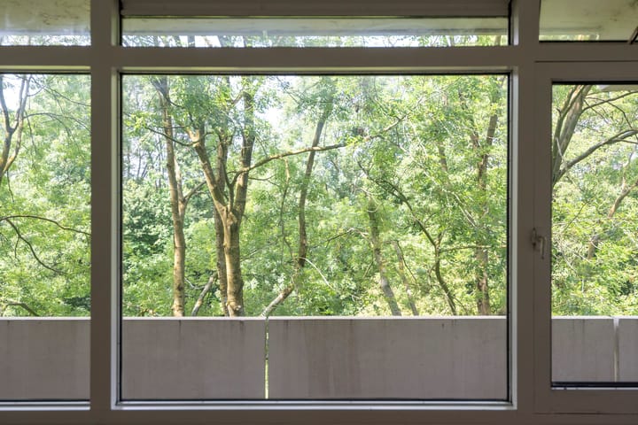 Foto 24 van Pinksterbloemweg 151