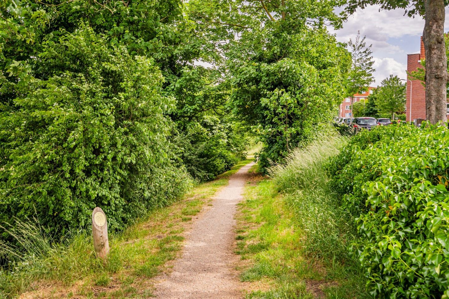 Photo 29 of Ruusbroecstraat 1