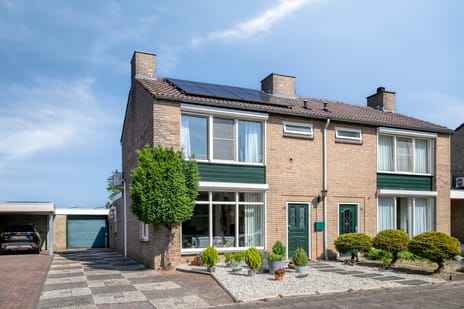 undefined main image