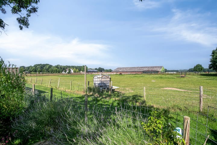 Foto 22 van Sint Jorisstraat 12