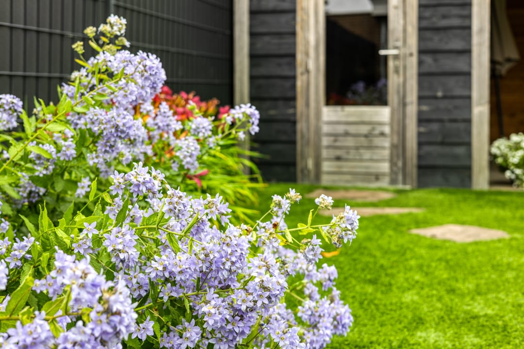 Photo 31 of St.-Janstraat 37