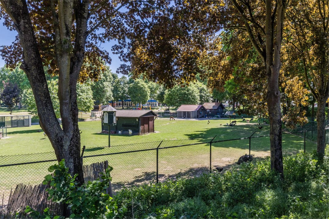 Foto 88 van Oranjelaan 29