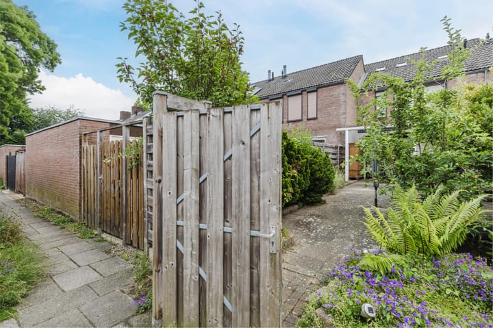 Foto 48 van Borghaag 60