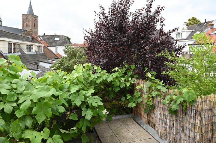 Foto 13 van Jan Massenstraat 15