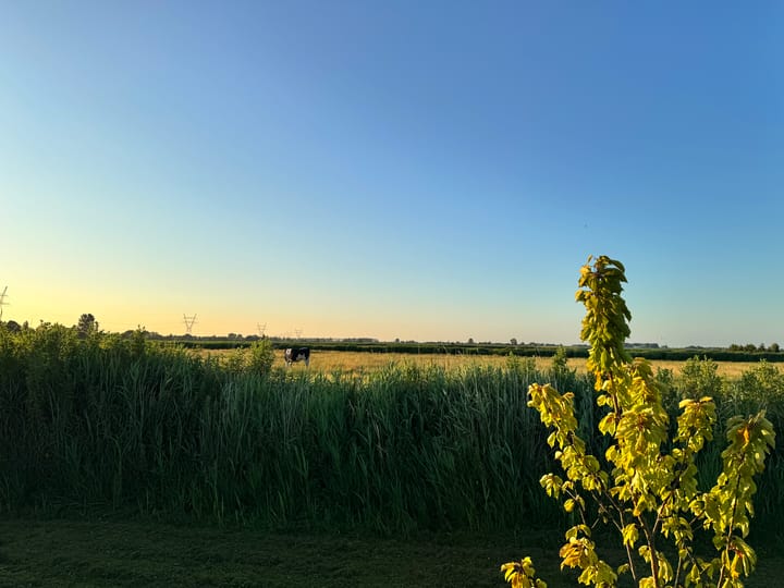 Photo 4 of Eilandspolder Kavel 837