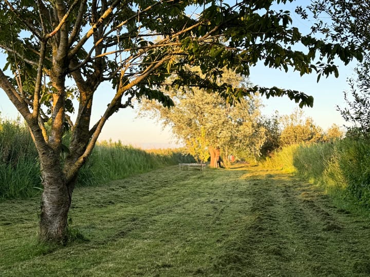 Photo 6 of Eilandspolder Kavel 837