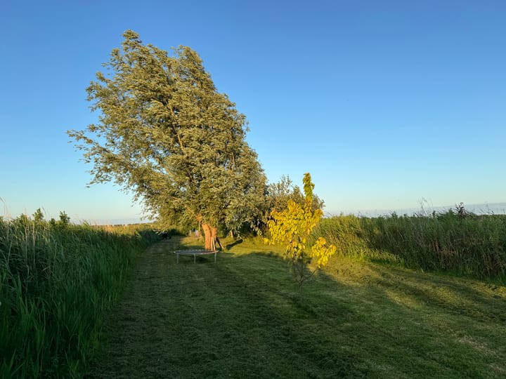 Photo 7 of Eilandspolder Kavel 837