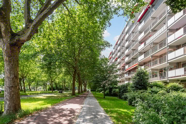 Foto 20 van Zernikeplaats 8